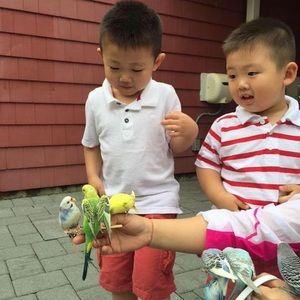 Meet your Posher, Johnny